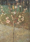 Vincent Van Gogh Almond Tree in Blossom (nn04) oil